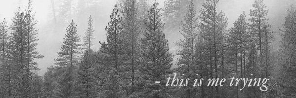 MissabethRoss's profile banner image