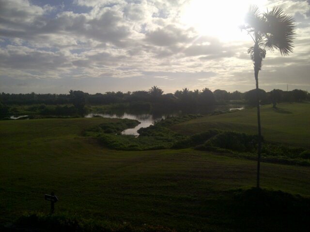 Rodolfo tejeda banner