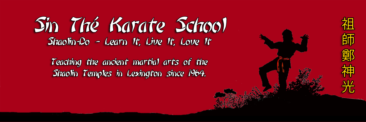SinTheKarate's profile banner image