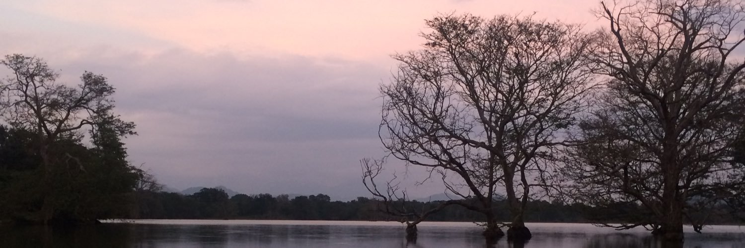 clarebirks's profile banner image