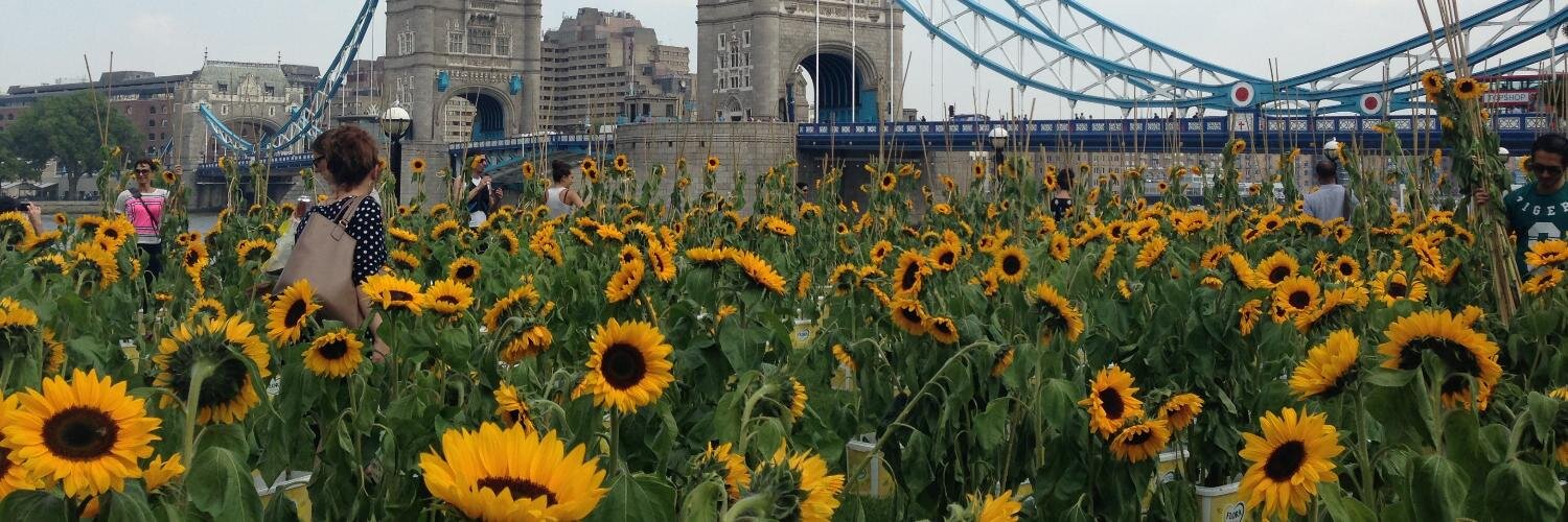 London Climate and Sustainability Commission banner