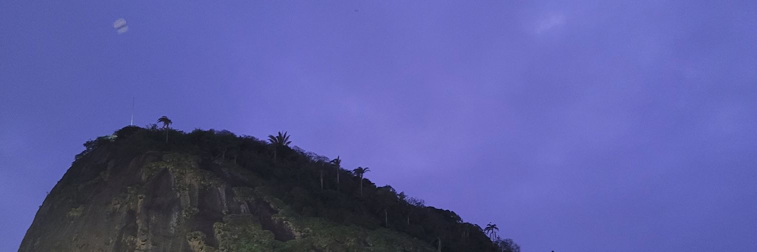 dudatrindadde's profile banner image
