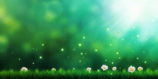 LifeTipsNAdvice's profile banner image