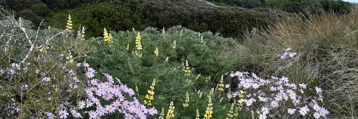 Non_Gardener's profile banner image