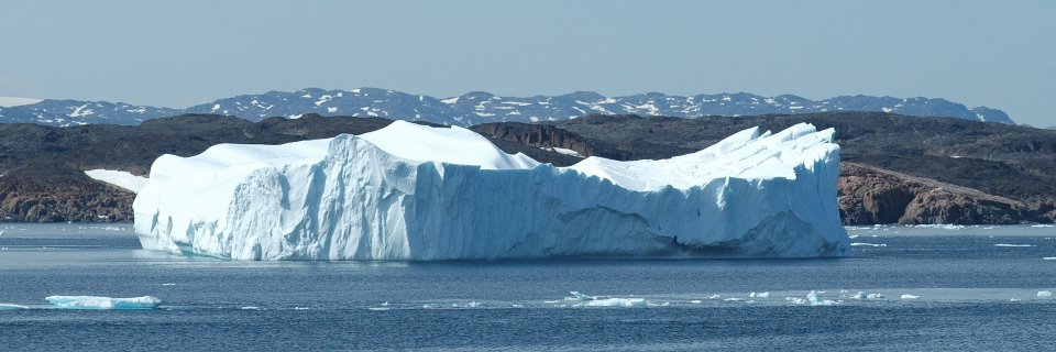 Trimaris 😷 banner