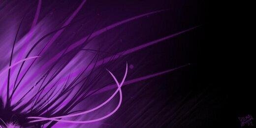 Untold Secrets banner