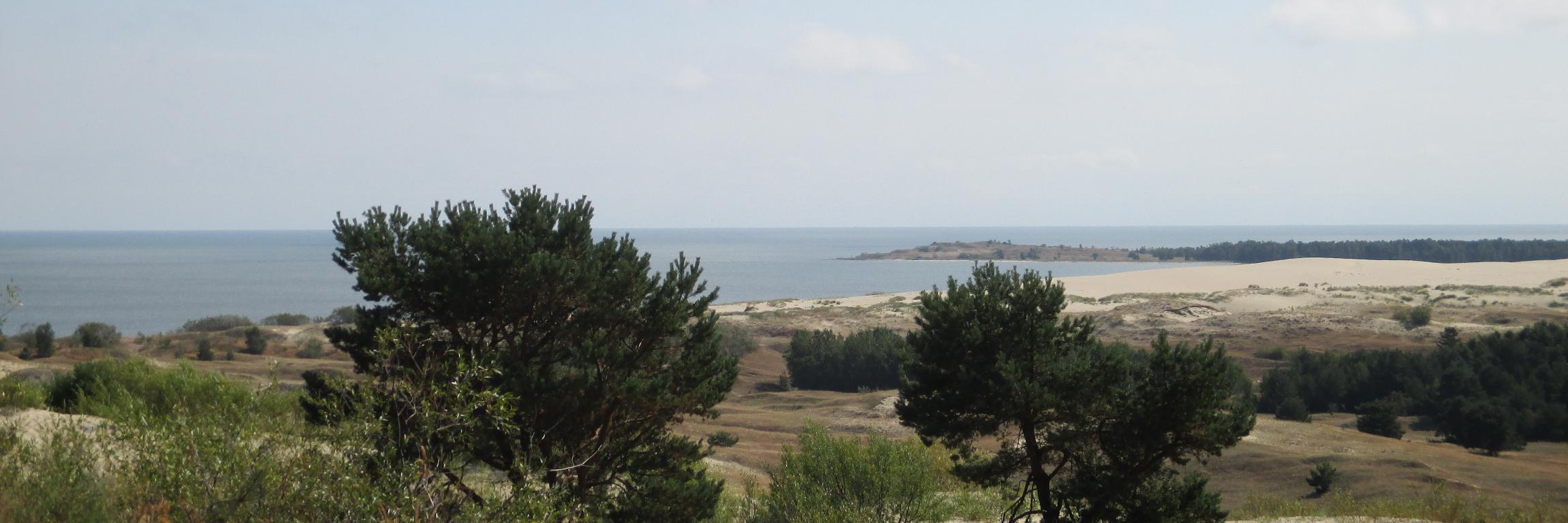 MORELL SAMPOL C banner