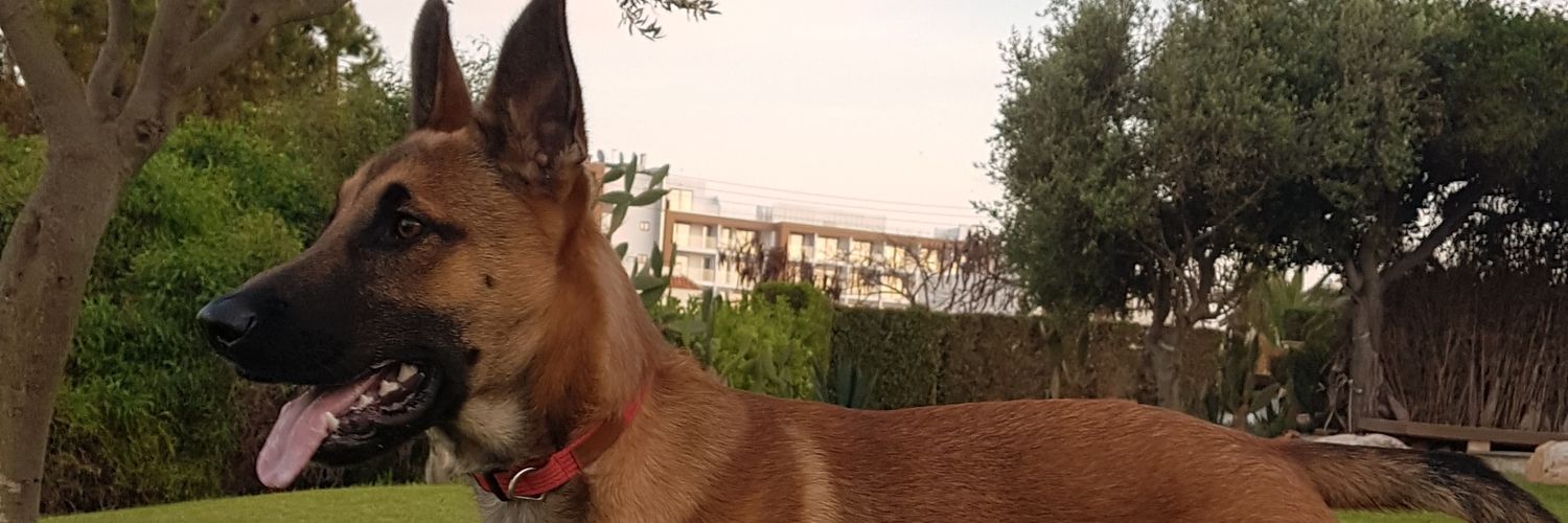 ScottRogerson's profile banner image