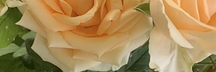 abrq_1's profile banner image