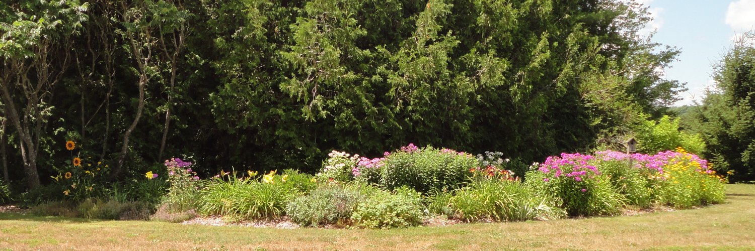 Ian McQuarrie banner