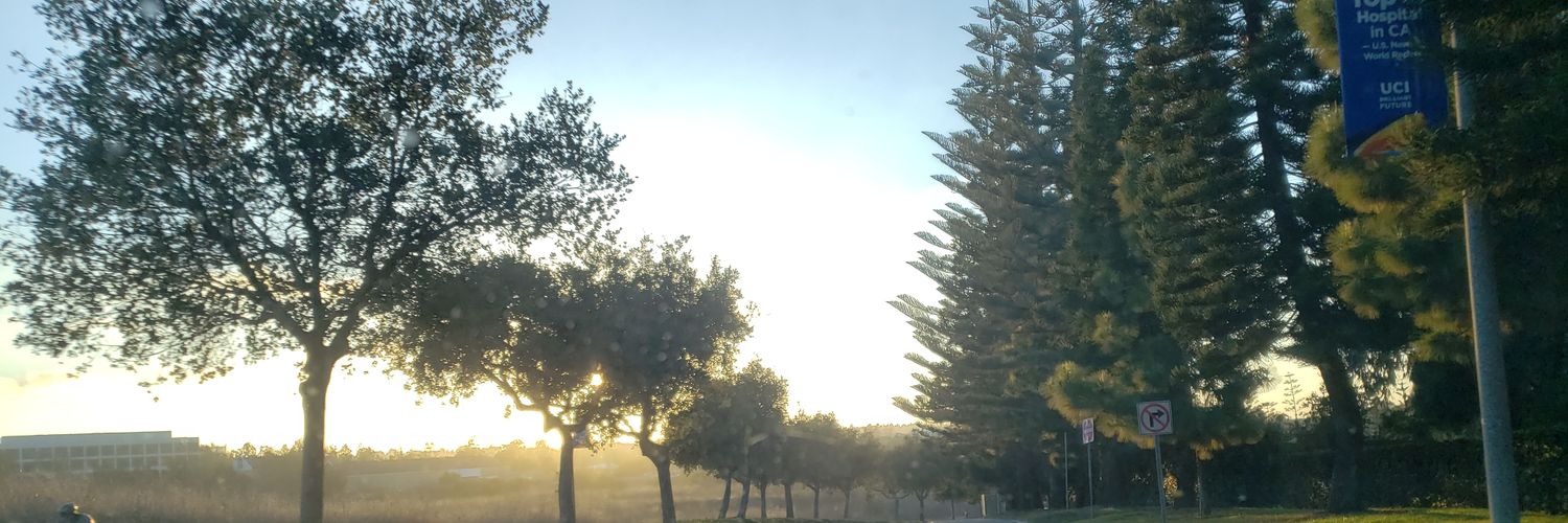 Michael Shaneman banner