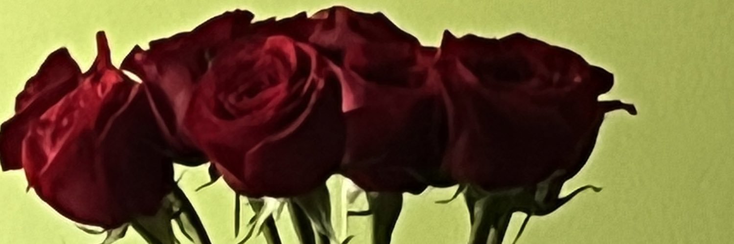 mjjopping's profile banner image