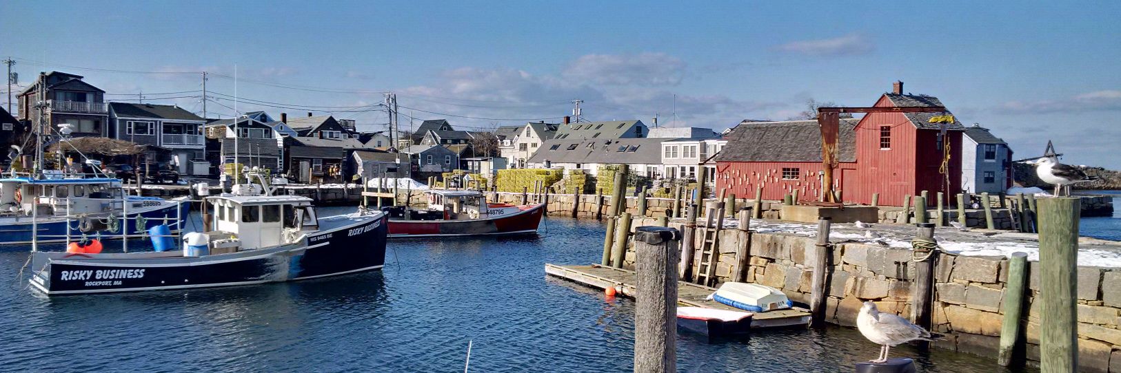 Joe D. ⚓️ 🏴‍☠️ banner