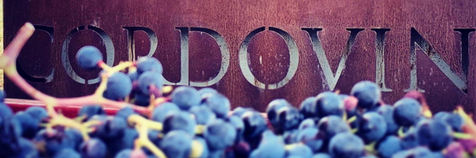 Álvar del Río banner