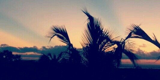 megant_14's profile banner image
