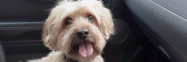 EllenJMacdonald's profile banner image