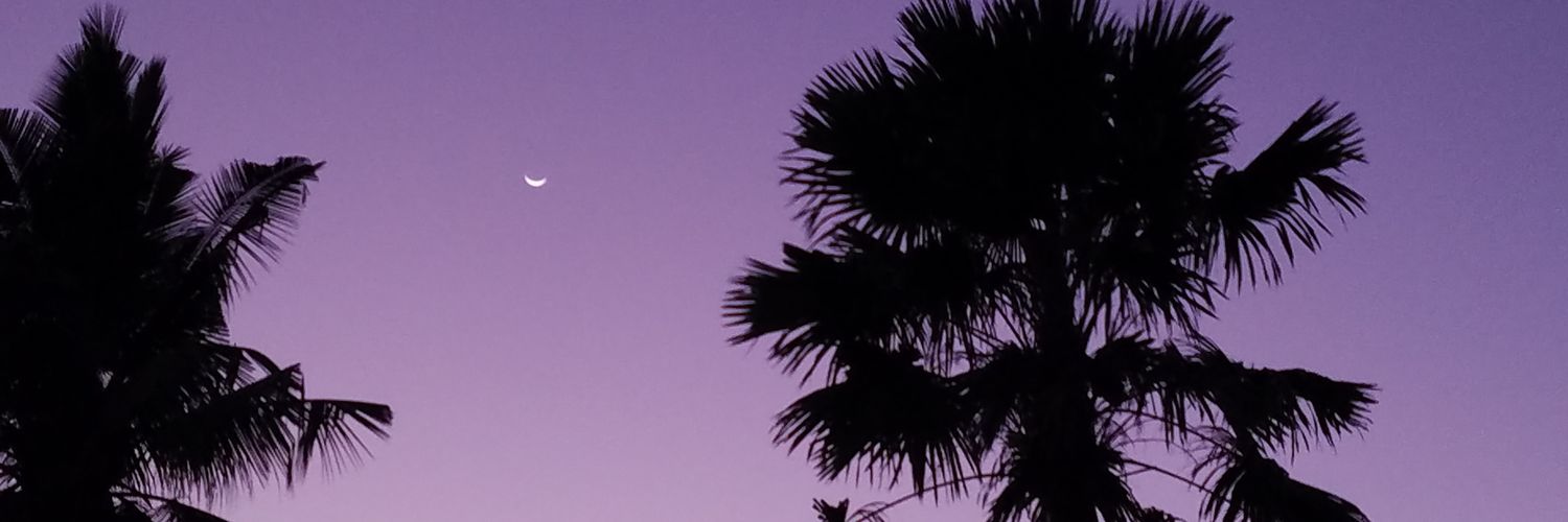 DoniaAmega's profile banner image
