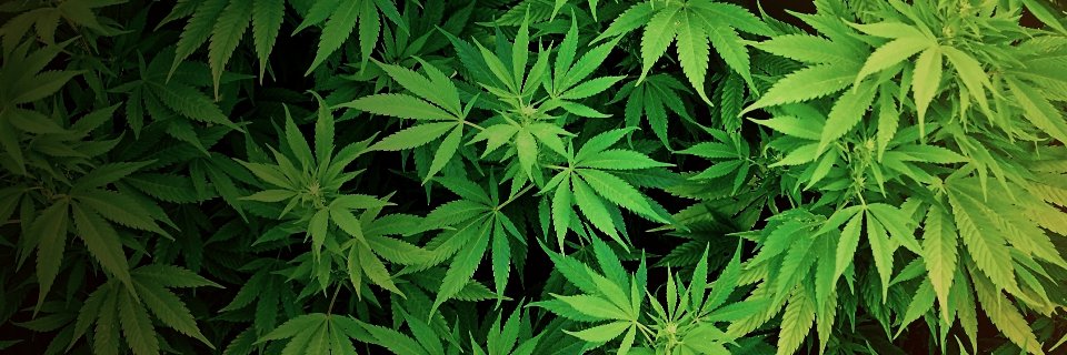 itsallways_420's profile banner image