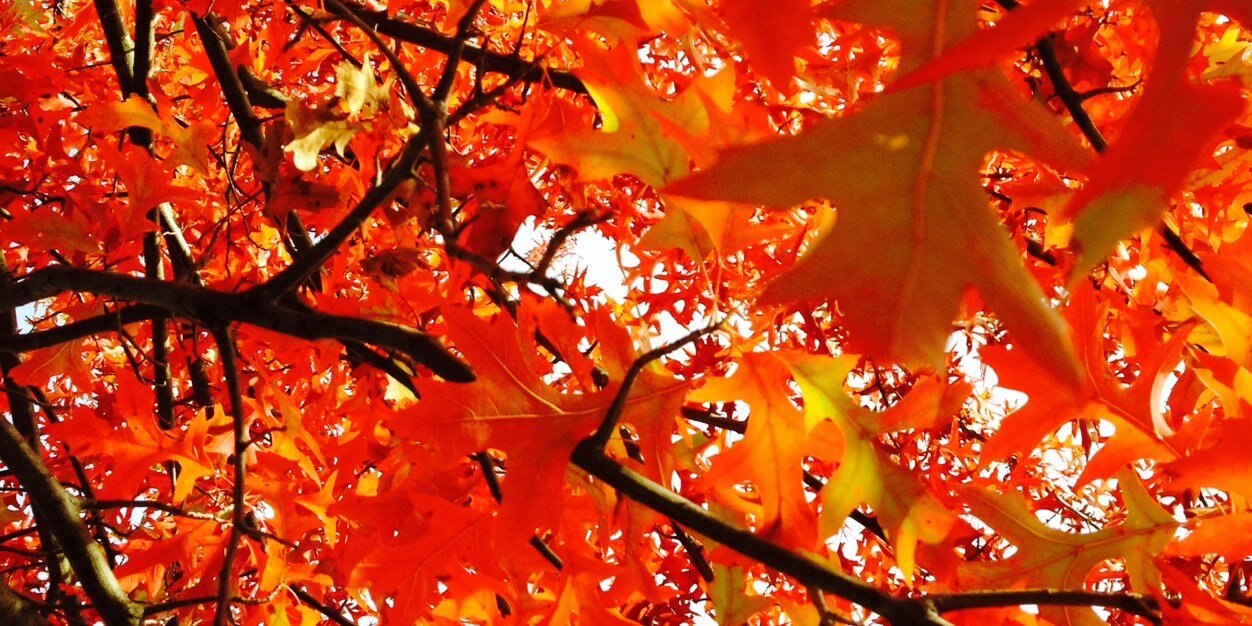 may_n_e's profile banner image