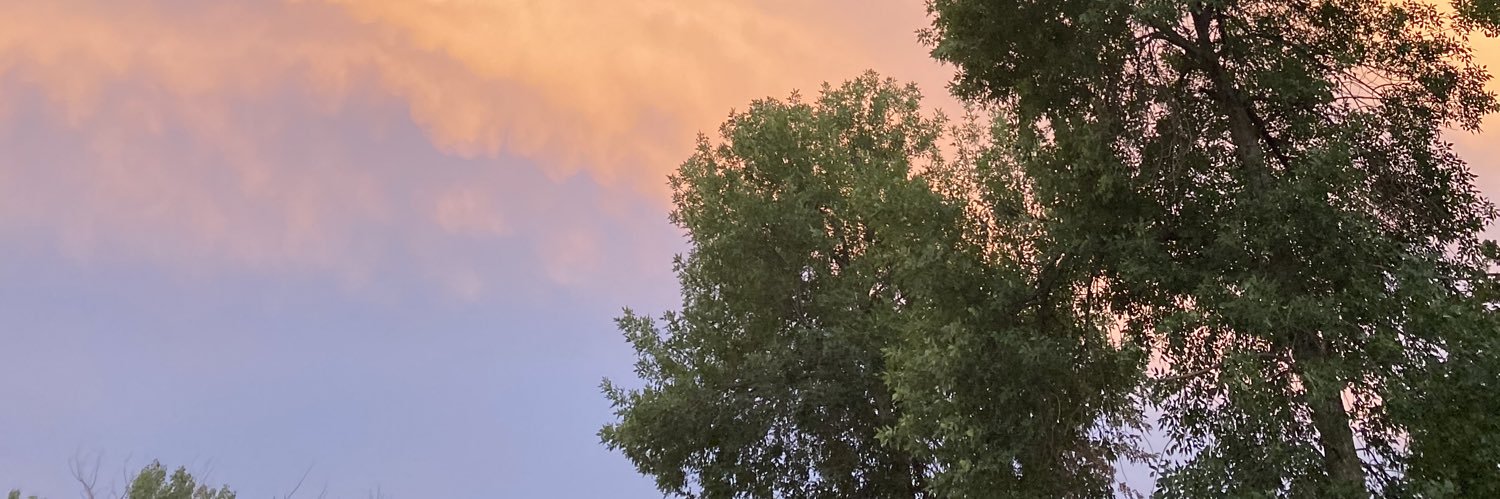 thomasandrewl's profile banner image