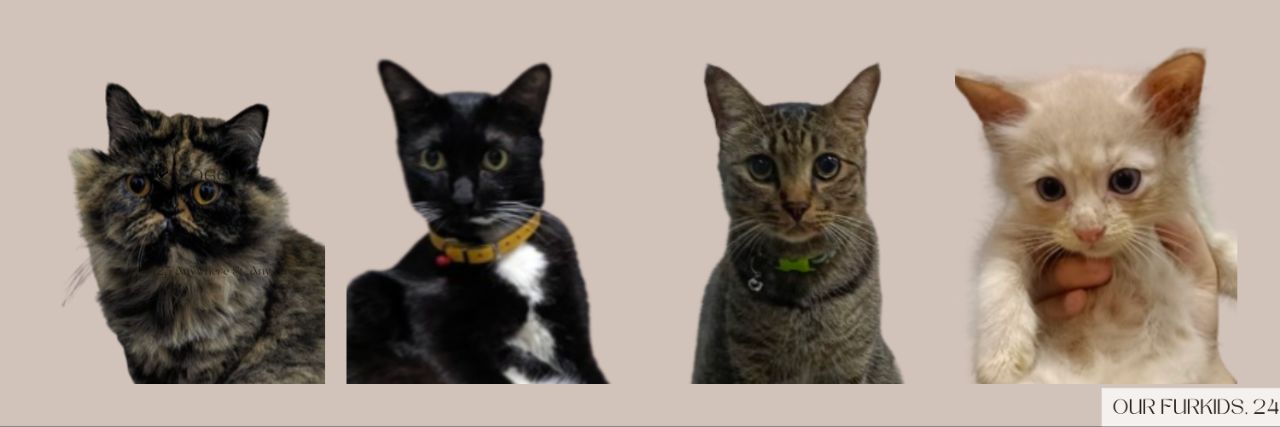 effthing's profile banner image