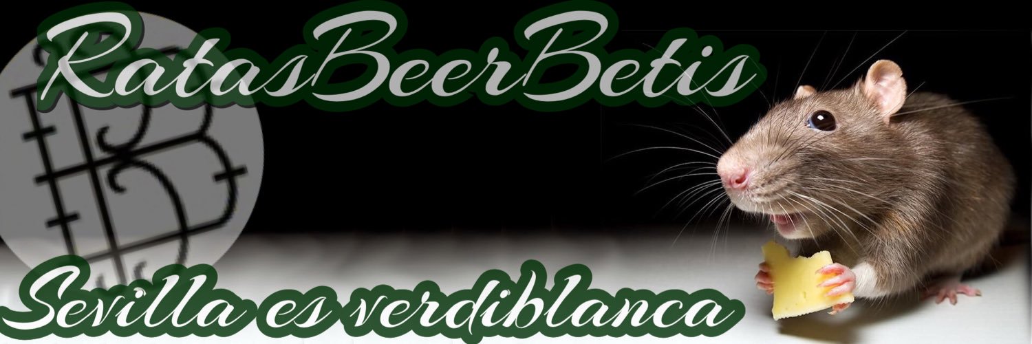 RatasRBB's profile banner image