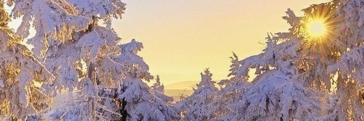 tameiroooo's profile banner image