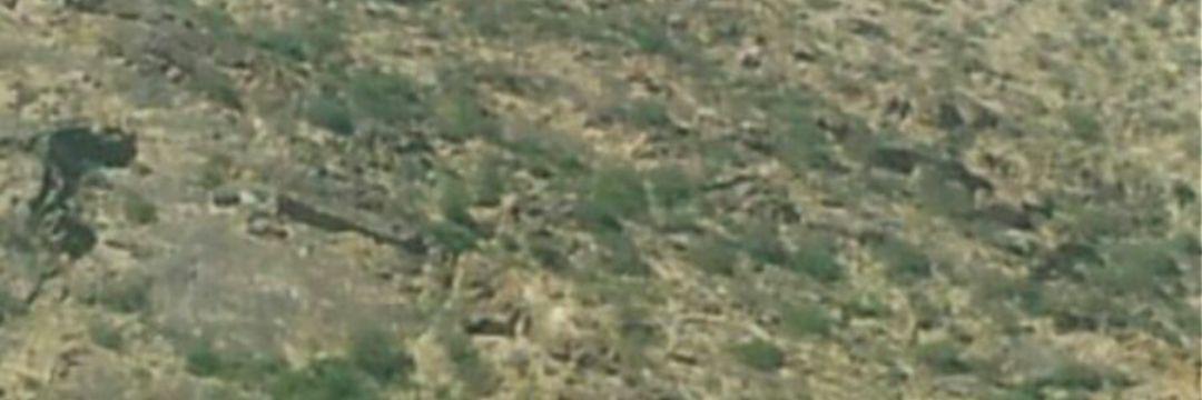 علي آل سلمان الشهري banner