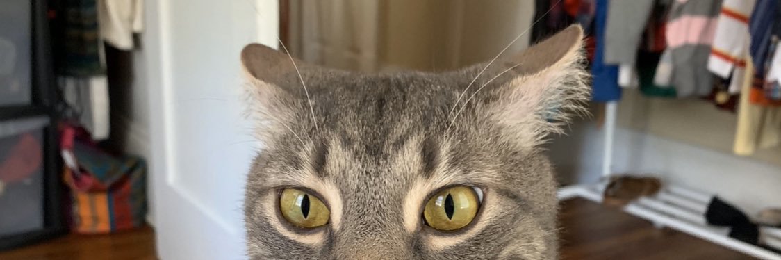 tebeltoft's profile banner image