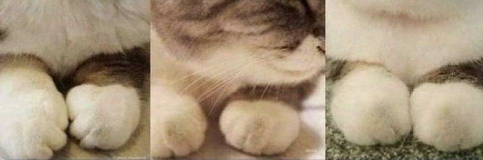 plcshr's profile banner image