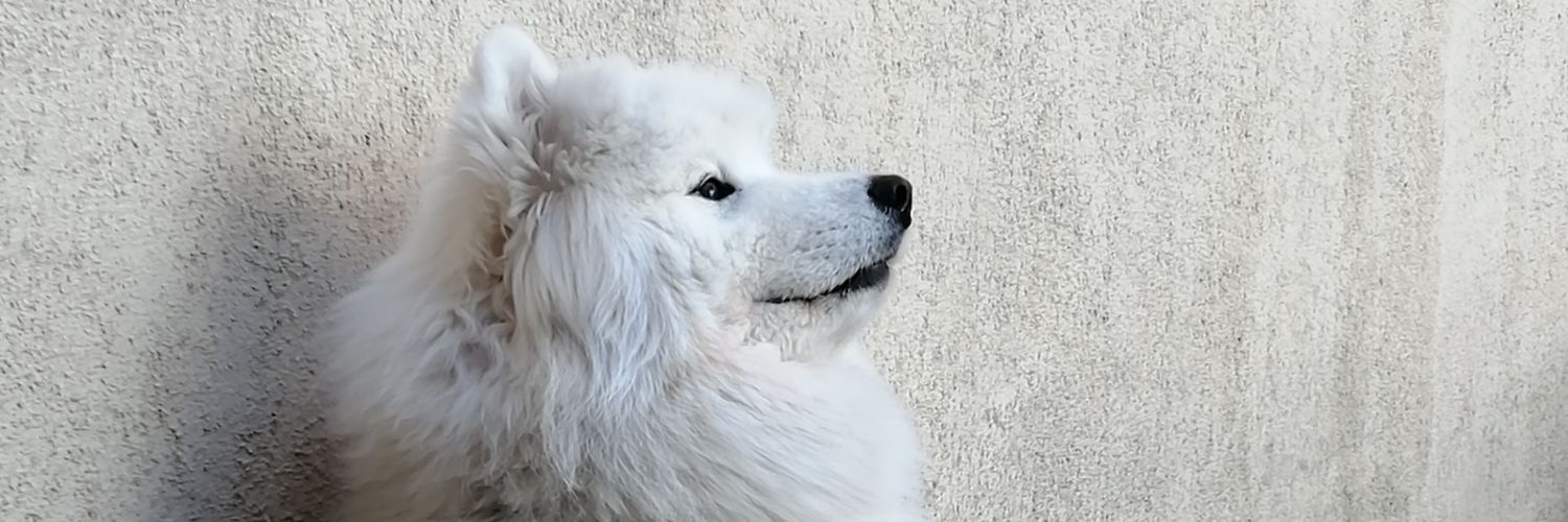 caiser38300's profile banner image