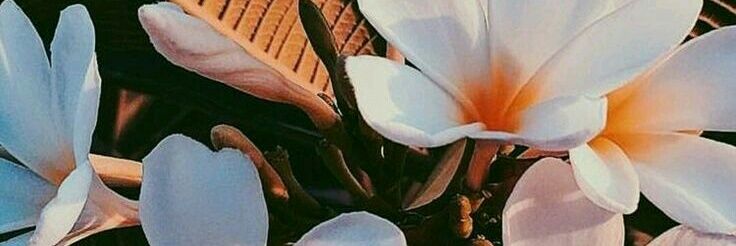 cisz_a's profile banner image