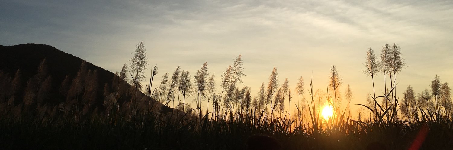 frmc___'s profile banner image