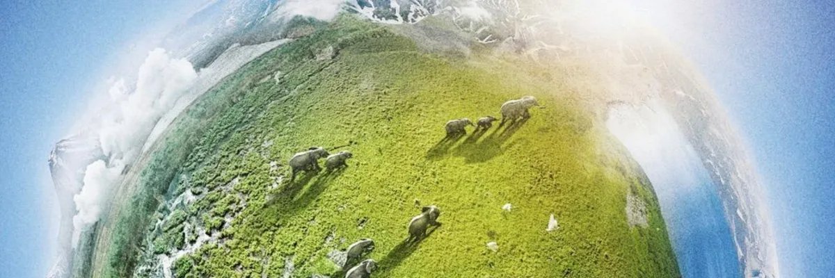 zBanna's profile banner image