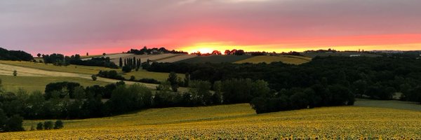 JoRowsellMBE Profile Banner