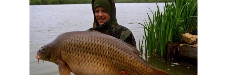 Richiedotcom's profile banner image