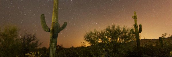 danieljreardon Profile Banner