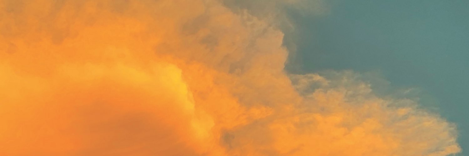 C😏lleen Refusenik ✝️ 🌸 🇮🇱 banner