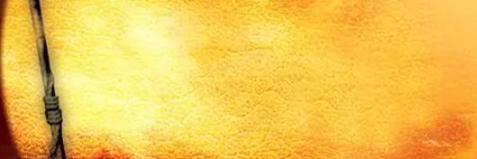 saif_neem's profile banner image