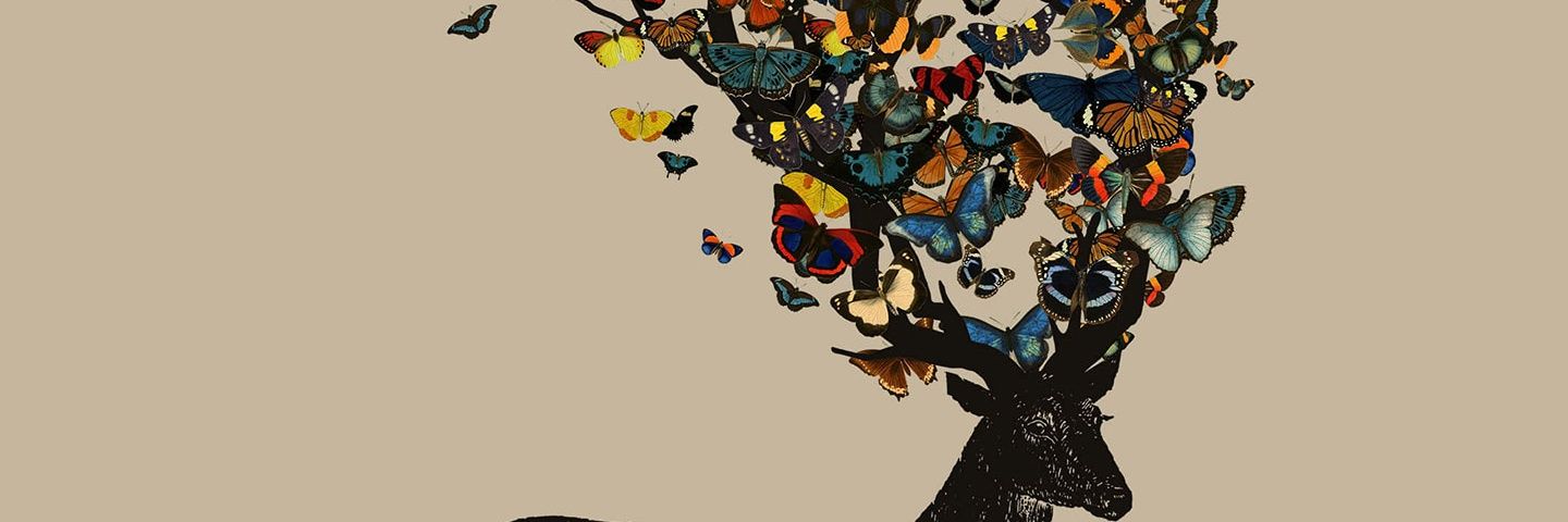Botiara's profile banner image