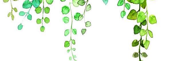 iguspane's profile banner image