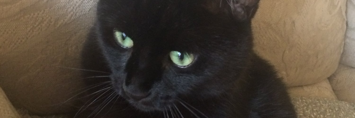 JeaninePicard's profile banner image