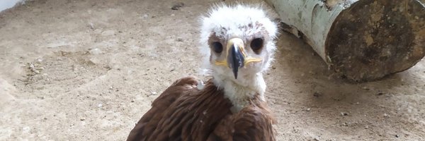 jelenhernandez Profile Banner