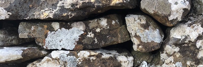 ClareCoghill's profile banner image