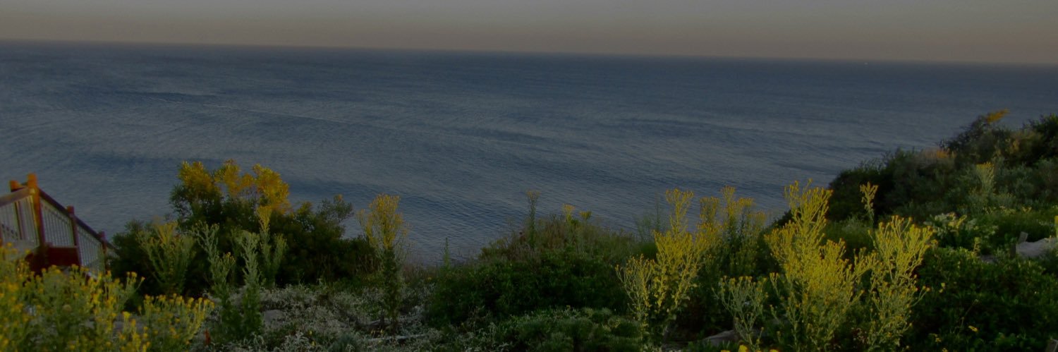 wilcon4's profile banner image