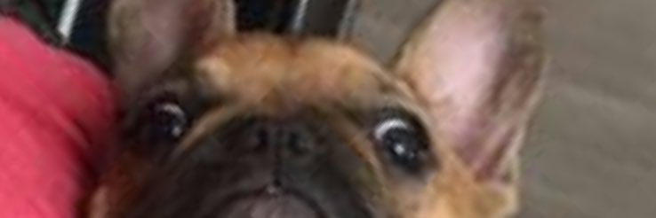 MarieeLeclere's profile banner image