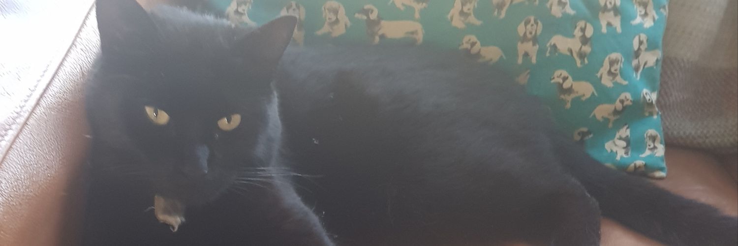 LianneInTheCity's profile banner image