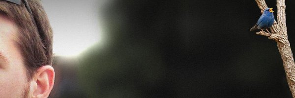 StanCalderelli Profile Banner