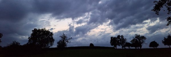 Michi_Ertl Profile Banner