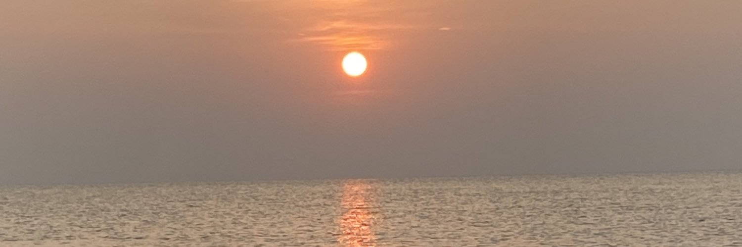 chaz_desalis's profile banner image